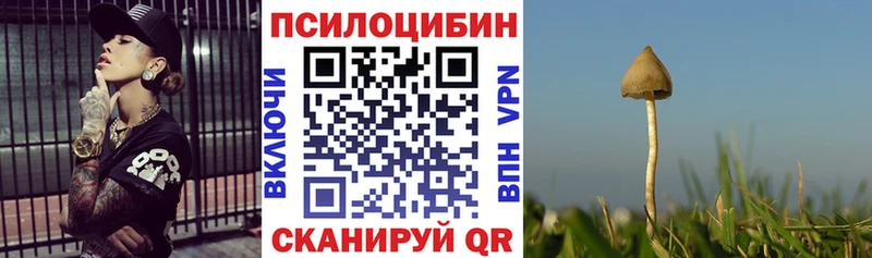 Галлюциногенные грибы Cubensis  магазин продажи   Березники 